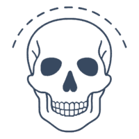 Maxillofacial Surgery